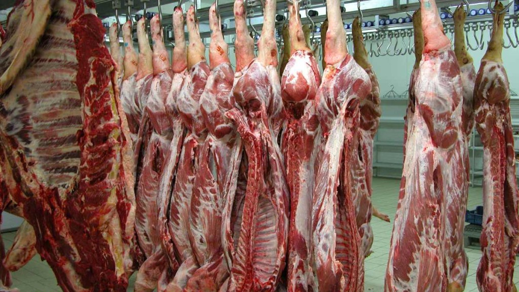 Decline of UK Abattoirs: A Growing Threat to Food Security Decline of UK abattoirs